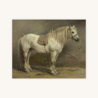 A WHITE HORSE — Primary Image