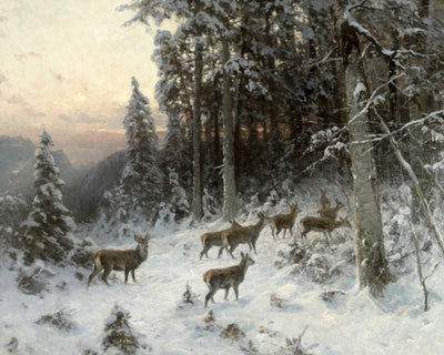 A WINTER EVENING IN THE BLACK FOREST