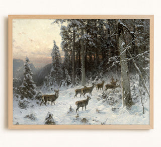 A Winter Evening in the Black Forest