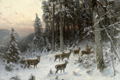 A Winter Evening in the Black Forest
