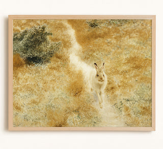 A Winter Hare in a Landscape