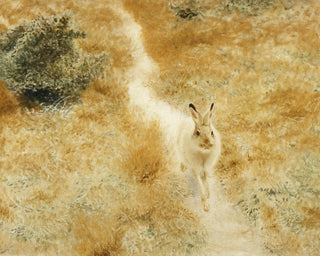 A WINTER HARE IN A LANDSCAPE - Museum Quality Art