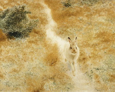 A WINTER HARE IN A LANDSCAPE - Museum Quality Art