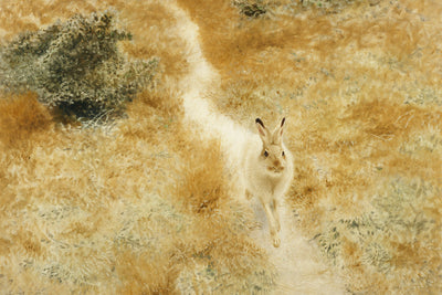 A WINTER HARE IN A LANDSCAPE - Museum Quality Art