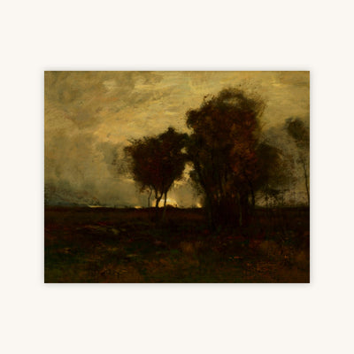AFTER THE STORM — Primary Image