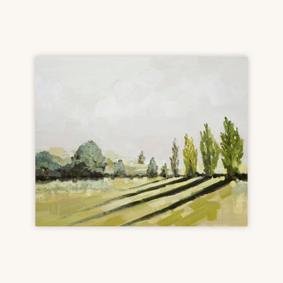 AFTERNOON, NAPA VALLEY — Primary Image