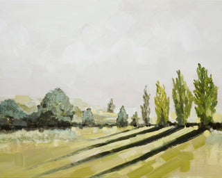 AFTERNOON, NAPA VALLEY