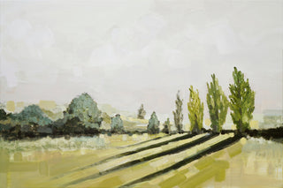 AFTERNOON, NAPA VALLEY