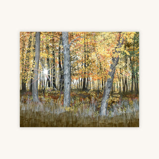 AGLOW — Primary Image