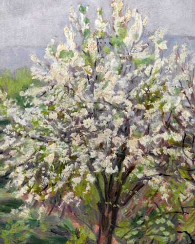 ALMOND BLOSSOM IN SPRING