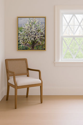 Almond Blossom in Spring