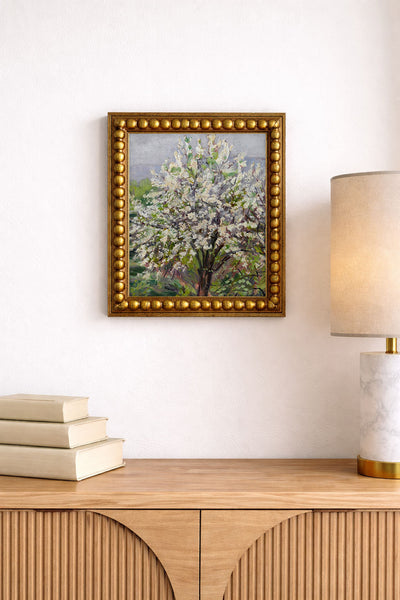 Almond Blossom in Spring