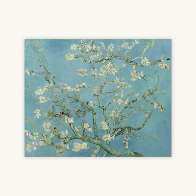 ALMOND BLOSSOM — Primary Image