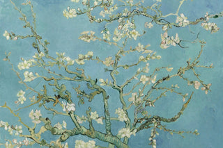 ALMOND BLOSSOM