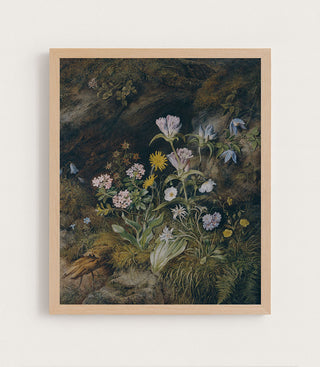 ALPINE FLORA - Museum Quality Art