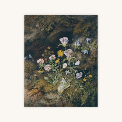 ALPINE FLORA — Primary Image
