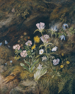 ALPINE FLORA