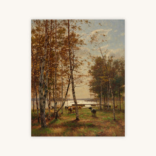 AN OCTOBER DAY IN ÅLAND — Primary Image