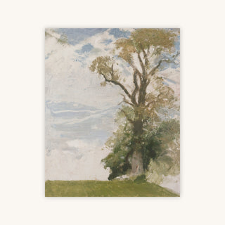 AN OLD ELM — Primary Image
