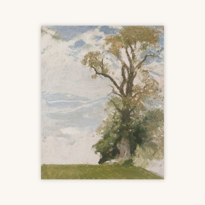 AN OLD ELM — Primary Image