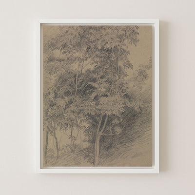 ANTIQUE TREE STUDY - Museum Quality Art