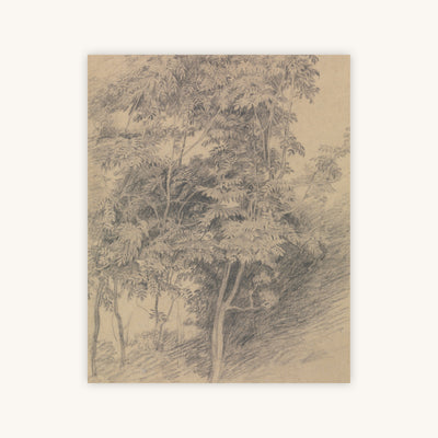 ANTIQUE TREE STUDY — Primary Image