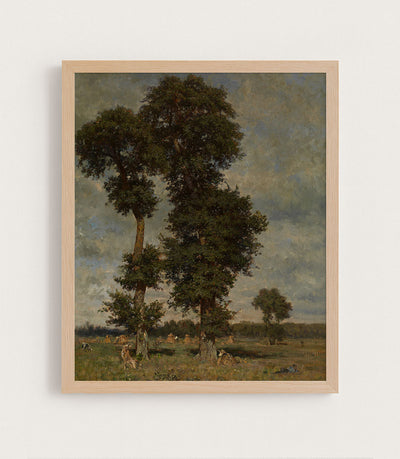 Antique Tree