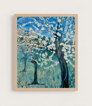 Apple Blossoms