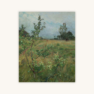 APPLE TREE — Primary Image