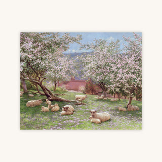 APPLEBLOSSOM — Primary Image
