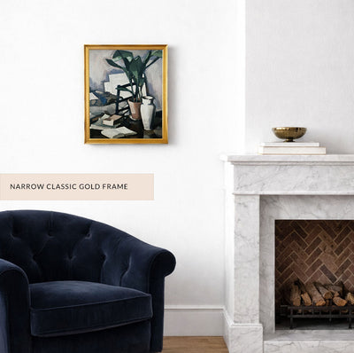 Aspidistra