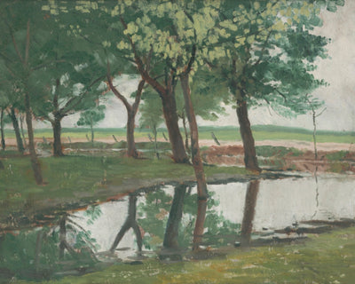 At the Edge of the Forest