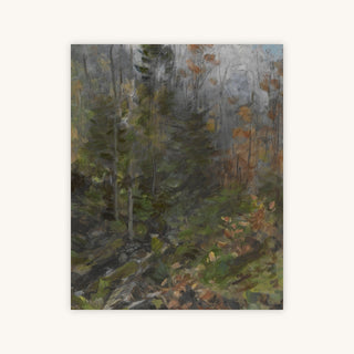 AUTUMN FOREST — Primary Image