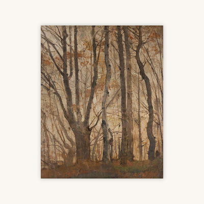 AUTUMN FOREST — Primary Image