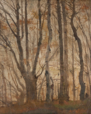 Autumn Forest