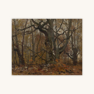 AUTUMN FOREST — Primary Image