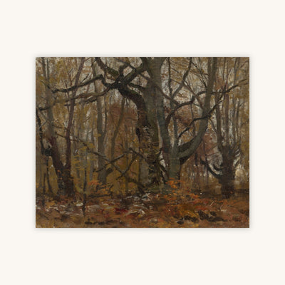 AUTUMN FOREST — Primary Image