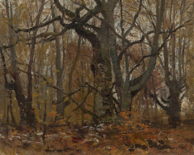 AUTUMN FOREST