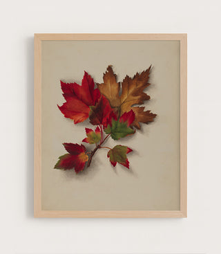 Autumn Leaves