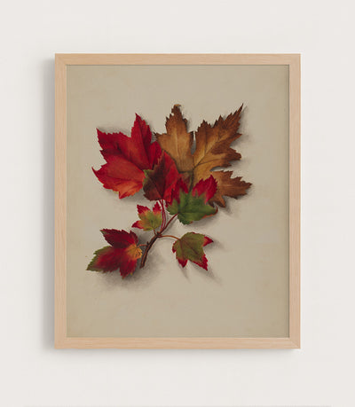 Autumn Leaves