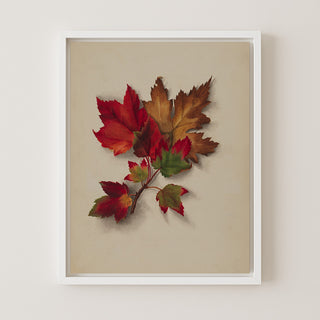 Autumn Leaves