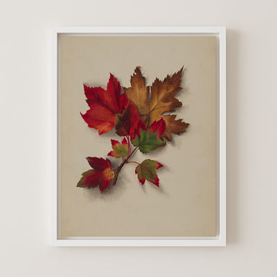 Autumn Leaves