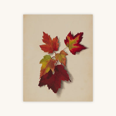 AUTUMN LEAVES II — Primary Image