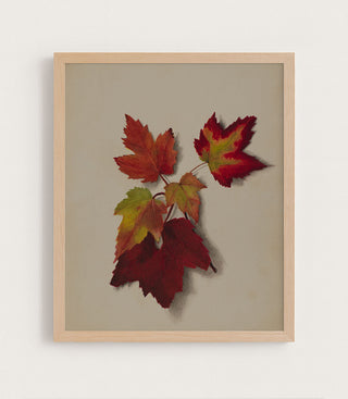 Autumn Leaves II