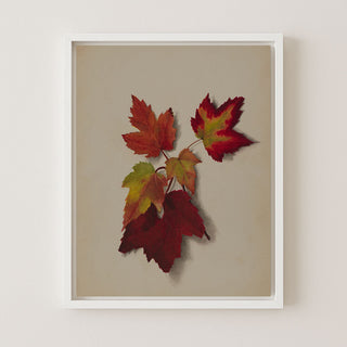 Autumn Leaves II