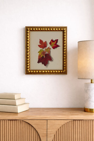 Autumn Leaves II