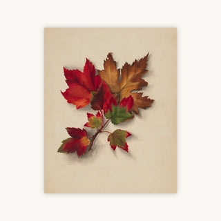 AUTUMN LEAVES I — Primary Image