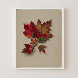 Autumn Leaves I