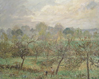 AUTUMN, MORNING MIST