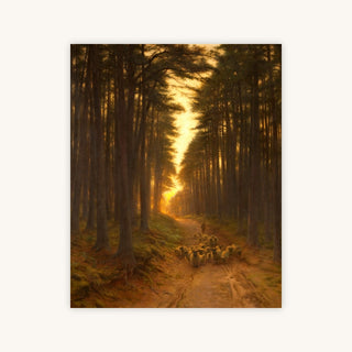 AUTUMN SUNLIGHT II — Primary Image